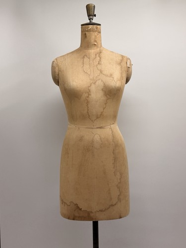 Bauman female - j.r.,