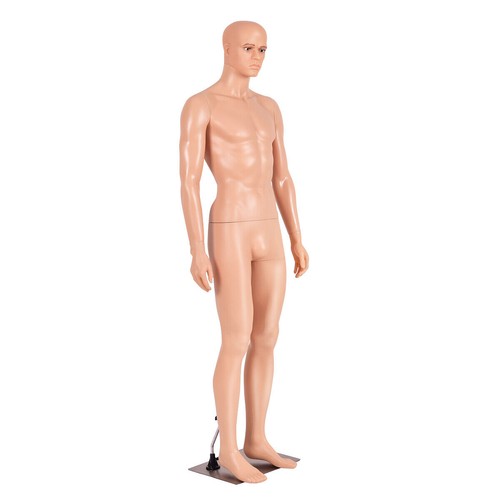 Life size male mannequin torso - size,