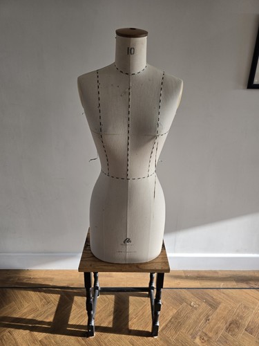 Professional female dress - dress, form